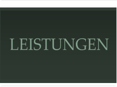 LEISTUNGEN