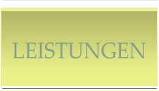 LEISTUNGEN