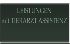 LEISTUNGEN mit TIERARZT ASSISTENZ