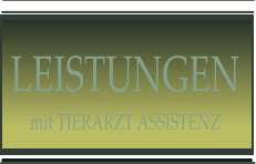 LEISTUNGEN mit TIERARZT ASSISTENZ