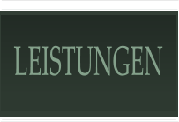 LEISTUNGEN