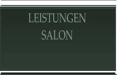 LEISTUNGEN SALON