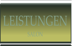 LEISTUNGEN SALON