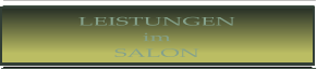 LEISTUNGEN im SALON