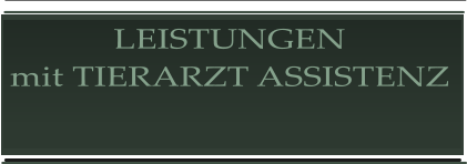 LEISTUNGEN mit TIERARZT ASSISTENZ