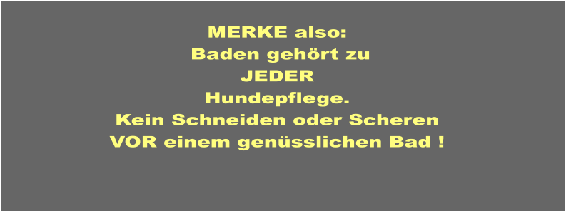 MERKE also:   Baden gehört zu JEDER Hundepflege. Kein Schneiden oder Scheren VOR einem genüsslichen Bad !