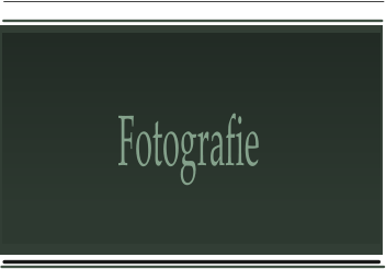 Fotografie