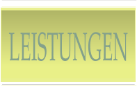 LEISTUNGEN