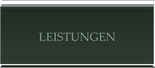 LEISTUNGEN