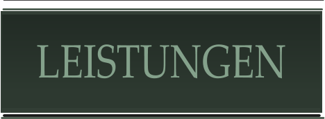 LEISTUNGEN