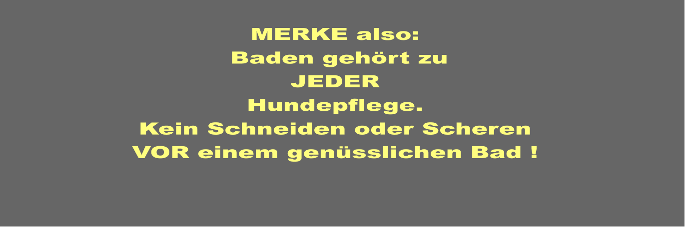 MERKE also:   Baden gehört zu JEDER Hundepflege. Kein Schneiden oder Scheren VOR einem genüsslichen Bad !