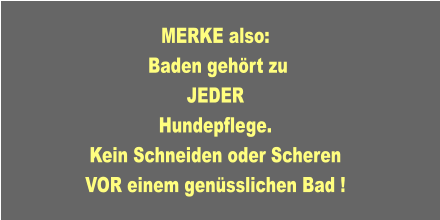 MERKE also:   Baden gehört zu JEDER Hundepflege. Kein Schneiden oder Scheren VOR einem genüsslichen Bad !